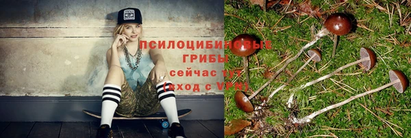 крисы Алексеевка
