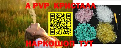 спайс Кингисепп