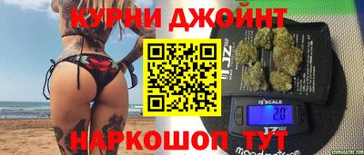 спайс Кингисепп