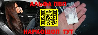 спайс Кингисепп