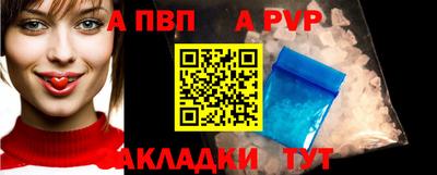 спайс Кингисепп