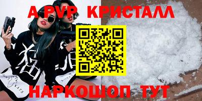 спайс Кингисепп