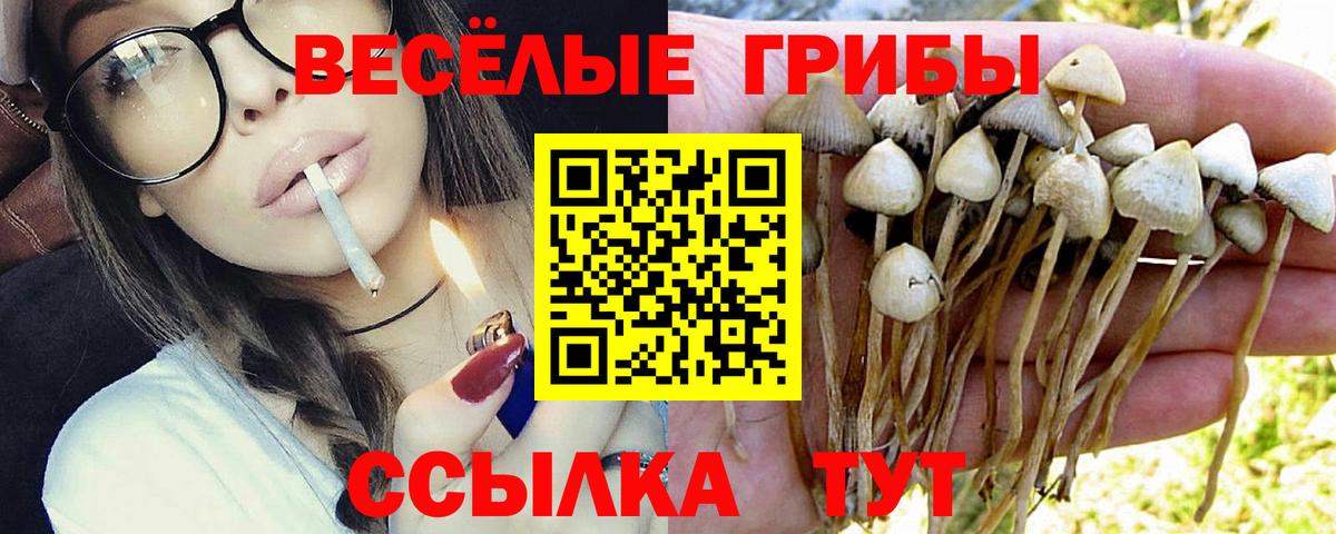 Галлюциногенные грибы ЛСД  Вход с VPN  дарнет шоп  Галлюциногенные грибы Psilocybine cubensis  Гусь-Хрустальный 